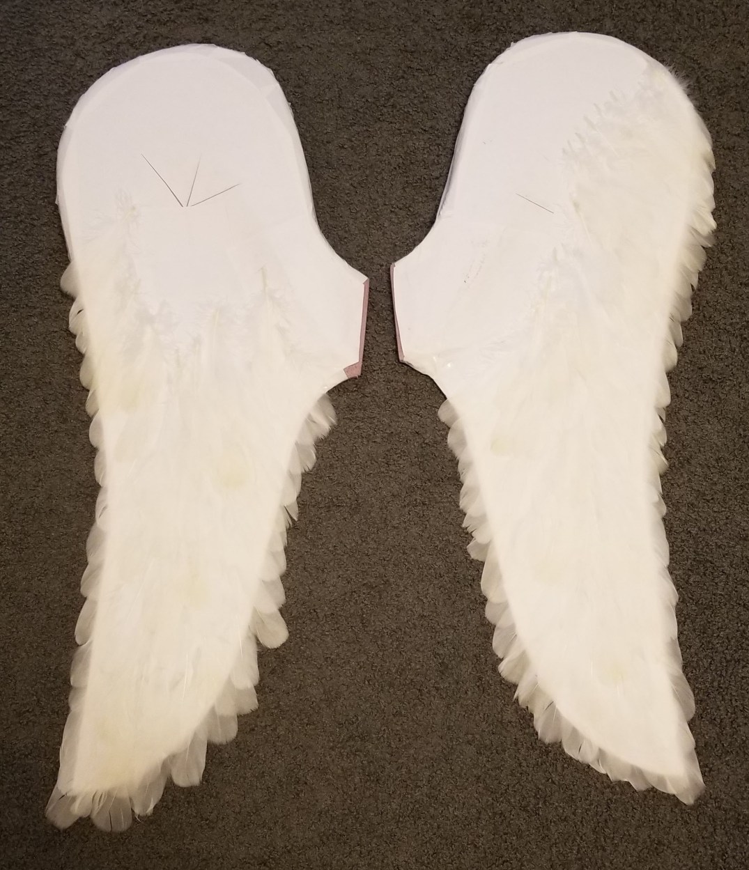 angel wings partially feathered