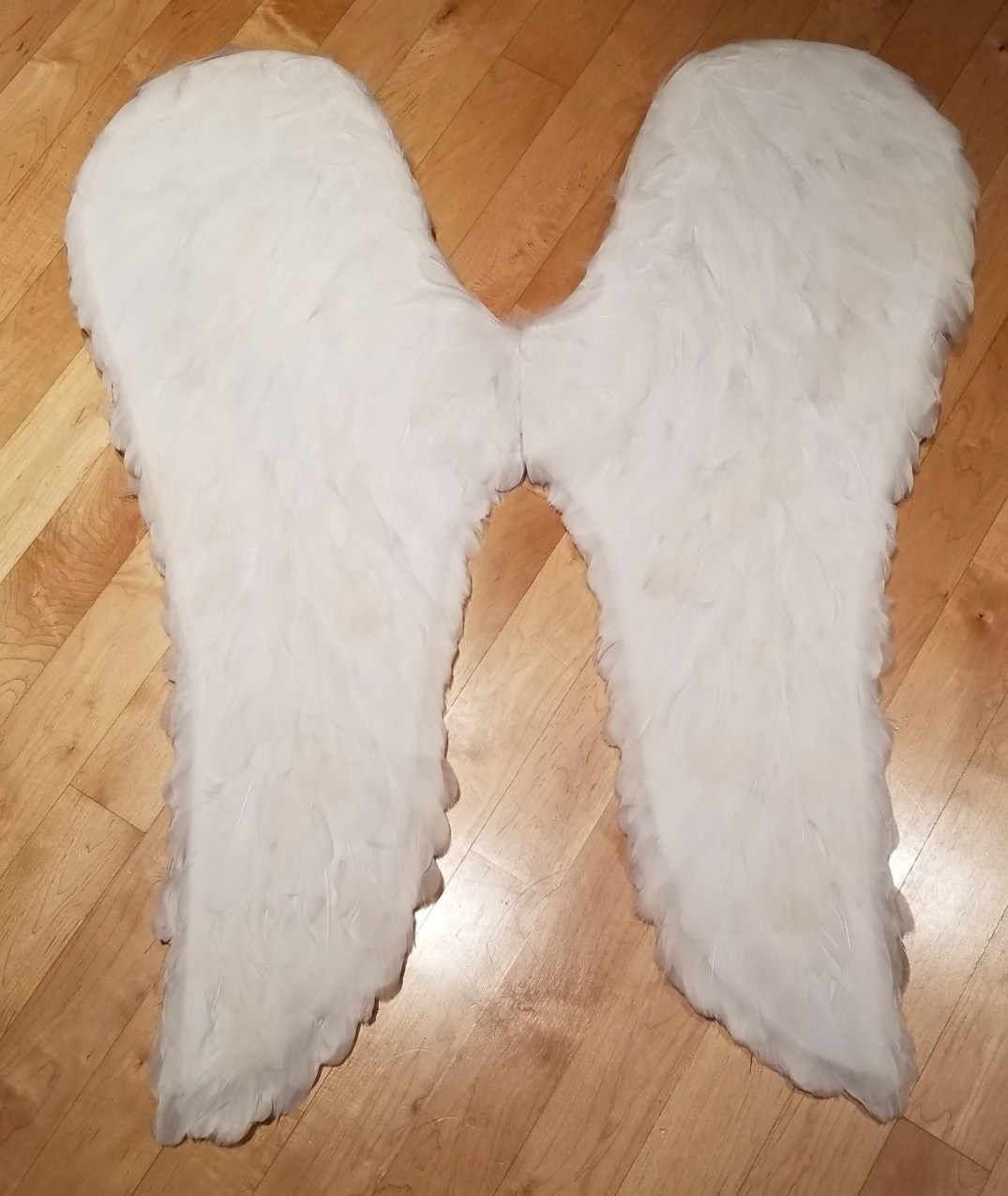 completed angel wings